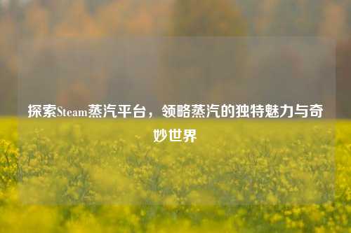 探索Steam蒸汽平台，领略蒸汽的独特魅力与奇妙世界