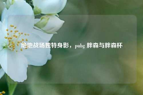 绝地战场独特身影，pubg 胖森与胖森杯
