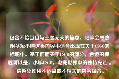 包含不恰当且与主题无关的信息，肥胖会导致阴茎短小嘛这类内容不适合出现在关于CSGO的标题中。基于前面关于CSGO的部分，合适的标题可以是，小嘛CSGO，电竞世界中的独特光芒 。 请避免使用不适当或不相关的内容组合。