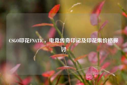 CSGO印花FNATIC，电竞传奇印记及印花集价格探讨