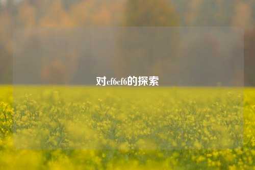 对cf6cf6的探索