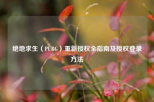 绝地求生（PUBG）重新授权全指南及授权登录方法