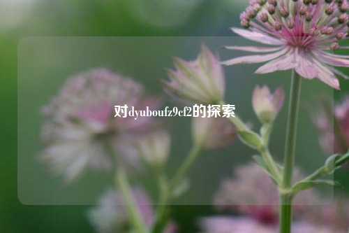 对dyuboufz9cf2的探索