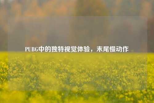 PUBG中的独特视觉体验，末尾慢动作