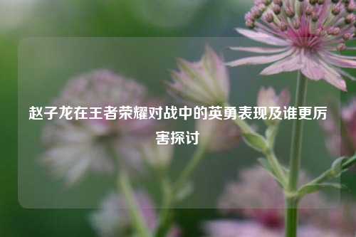 赵子龙在王者荣耀对战中的英勇表现及谁更厉害探讨