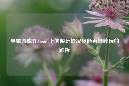 暴雪游戏在Steam上的游玩情况及能否继续玩的解析
