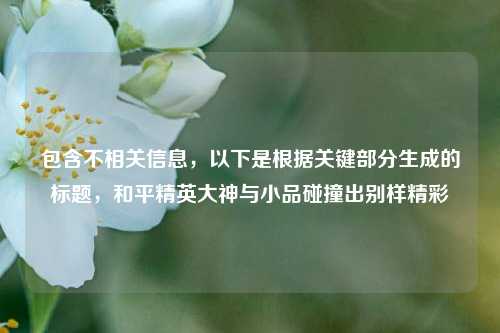 包含不相关信息，以下是根据关键部分生成的标题，和平精英大神与小品碰撞出别样精彩