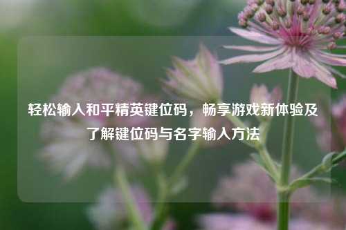 轻松输入和平精英键位码，畅享游戏新体验及了解键位码与名字输入方法