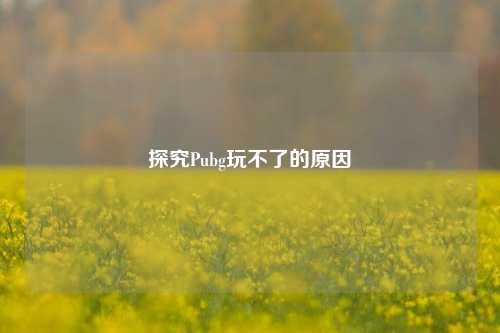 探究Pubg玩不了的原因