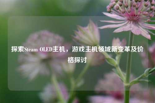 探索Steam OLED主机，游戏主机领域新变革及价格探讨