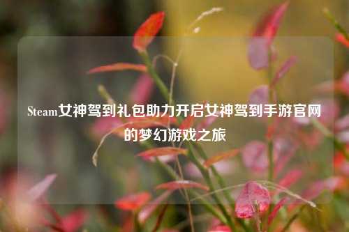 Steam女神驾到礼包助力开启女神驾到手游官网的梦幻游戏之旅
