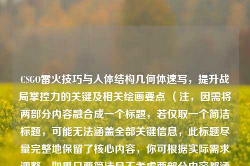 CSGO雷火技巧与人体结构几何体速写，提升战局掌控力的关键及相关绘画要点 （注，因需将两部分内容融合成一个标题，若仅取一个简洁标题，可能无法涵盖全部关键信息，此标题尽量完整地保留了核心内容，你可根据实际需求调整。如果只要简洁且不考虑两部分内容都涵盖的话，也可改为CSGO雷火技巧，提升战局掌控力的关键 ）