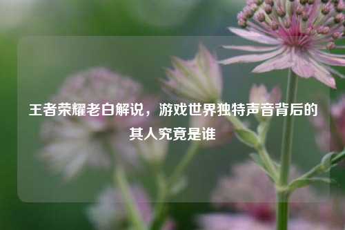 王者荣耀老白解说，游戏世界独特声音背后的其人究竟是谁