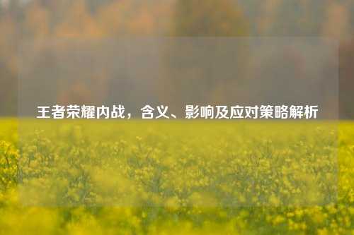 王者荣耀内战，含义、影响及应对策略解析