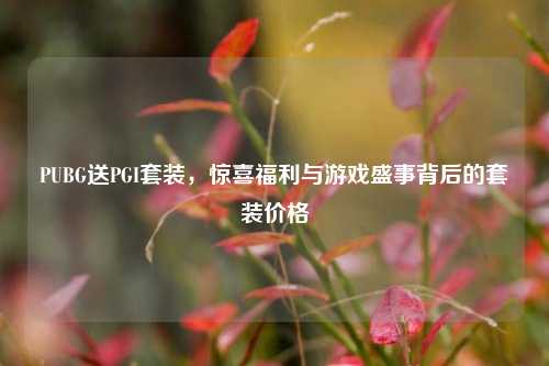 PUBG送PGI套装，惊喜福利与游戏盛事背后的套装价格