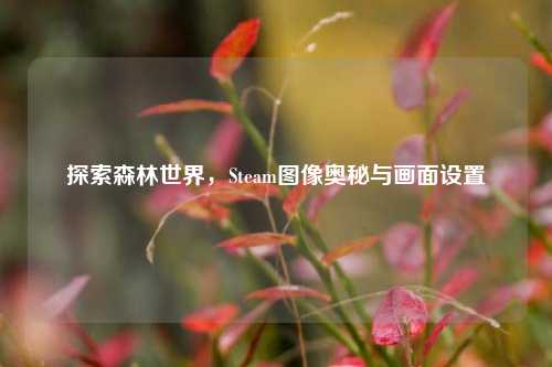 探索森林世界，Steam图像奥秘与画面设置