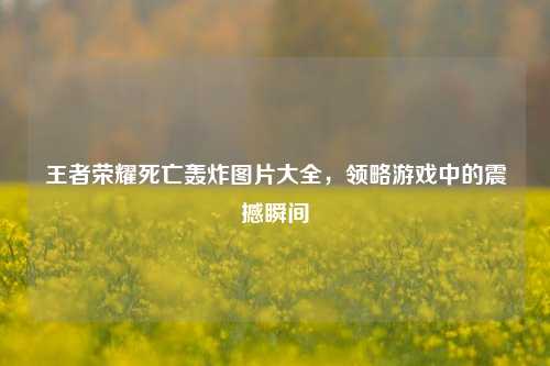 王者荣耀死亡轰炸图片大全，领略游戏中的震撼瞬间