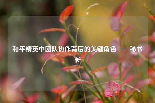 和平精英中团队协作背后的关键角色——秘书长