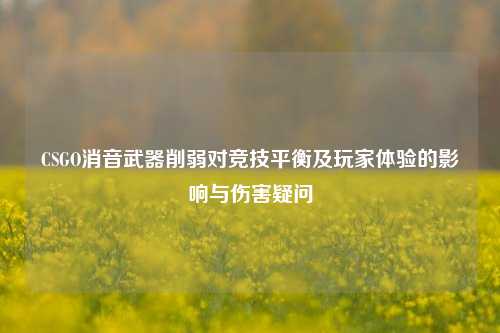CSGO消音武器削弱对竞技平衡及玩家体验的影响与伤害疑问