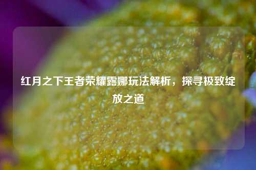 红月之下王者荣耀露娜玩法解析，探寻极致绽放之道