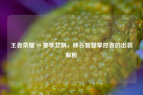 王者荣耀 S9 赛季女娲，峡谷智慧掌控者的出装解析
