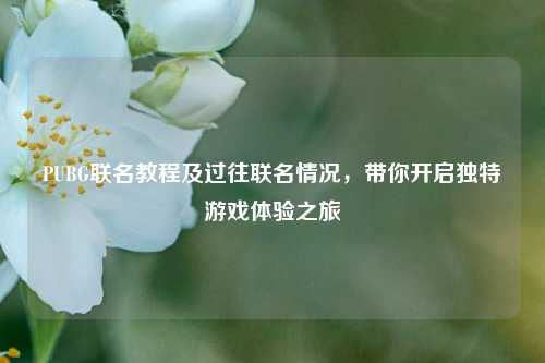 PUBG联名教程及过往联名情况，带你开启独特游戏体验之旅