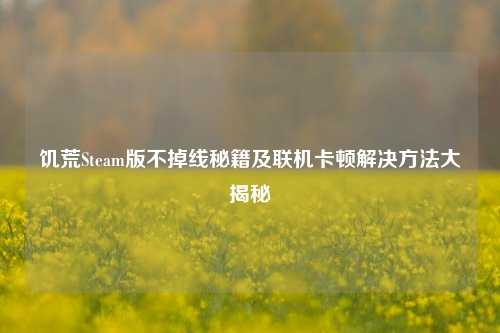饥荒Steam版不掉线秘籍及联机卡顿解决方法大揭秘