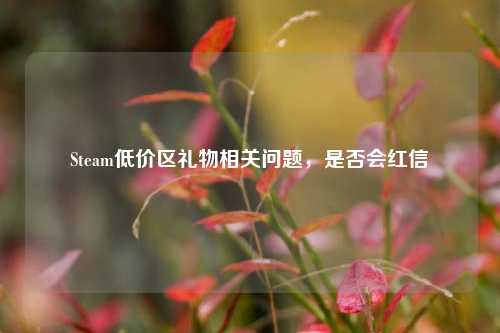 Steam低价区礼物相关问题，是否会红信