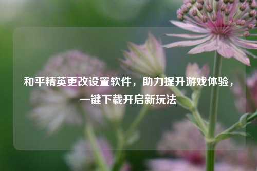 和平精英更改设置软件，助力提升游戏体验，一键下载开启新玩法