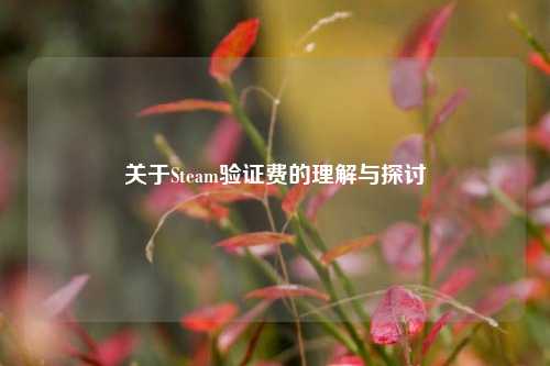 关于Steam验证费的理解与探讨