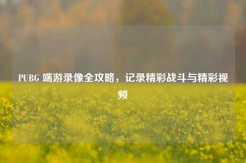 PUBG 端游录像全攻略，记录精彩战斗与精彩视频