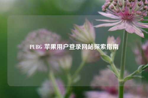 PUBG 苹果用户登录网站探索指南