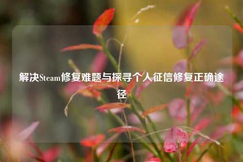 解决Steam修复难题与探寻个人征信修复正确途径