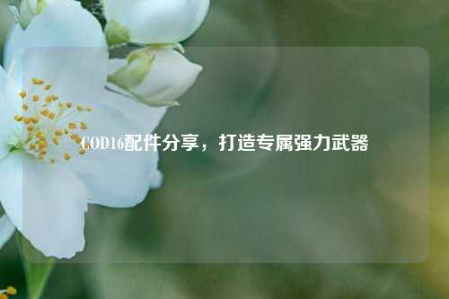 COD16配件分享，打造专属强力武器