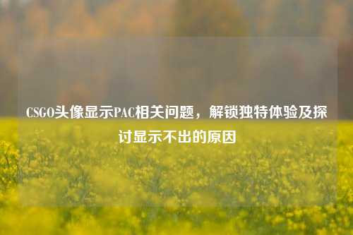 CSGO头像显示PAC相关问题，解锁独特体验及探讨显示不出的原因