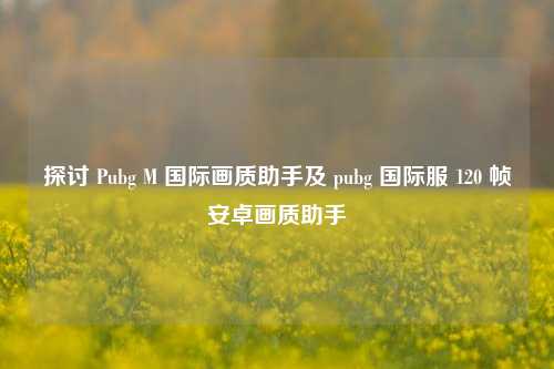 探讨 Pubg M 国际画质助手及 pubg 国际服 120 帧安卓画质助手