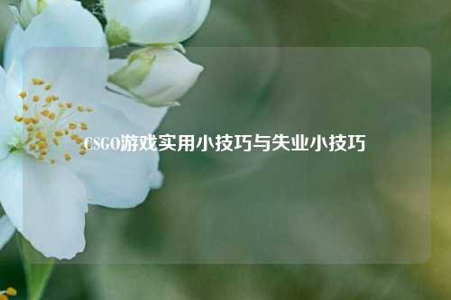 CSGO游戏实用小技巧与失业小技巧