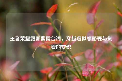 王者荣耀露娜紫霞台词，穿越虚拟领略爱与执着的交织