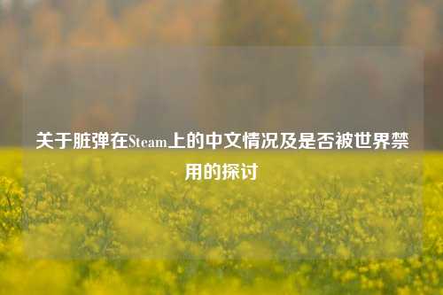 关于脏弹在Steam上的中文情况及是否被世界禁用的探讨
