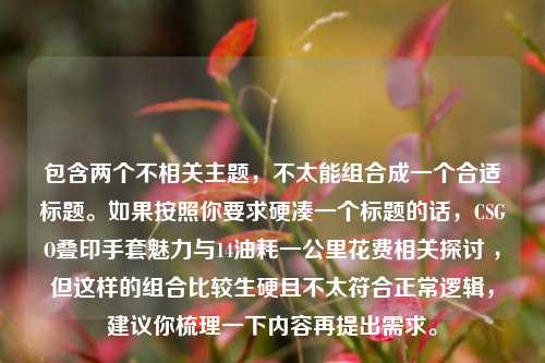 包含两个不相关主题，不太能组合成一个合适标题。如果按照你要求硬凑一个标题的话，CSGO叠印手套魅力与14油耗一公里花费相关探讨 ，但这样的组合比较生硬且不太符合正常逻辑，建议你梳理一下内容再提出需求。