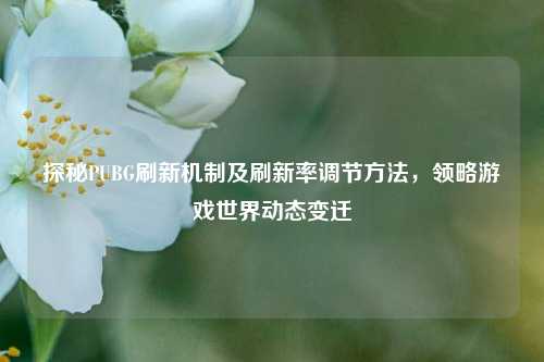 探秘PUBG刷新机制及刷新率调节方法，领略游戏世界动态变迁
