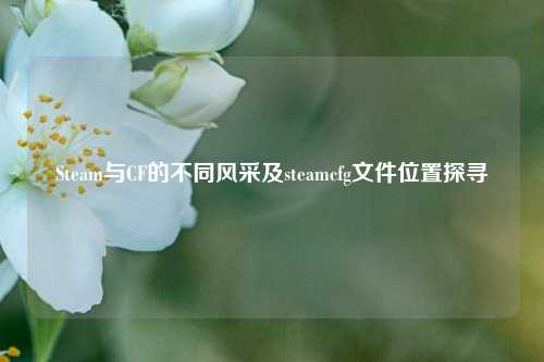 Steam与CF的不同风采及steamcfg文件位置探寻