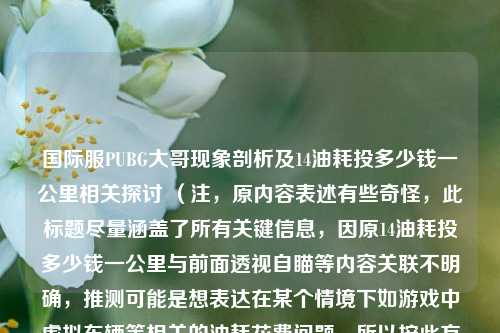 国际服PUBG大哥现象剖析及14油耗投多少钱一公里相关探讨 （注，原内容表述有些奇怪，此标题尽量涵盖了所有关键信息，因原14油耗投多少钱一公里与前面透视自瞄等内容关联不明确，推测可能是想表达在某个情境下如游戏中虚拟车辆等相关的油耗花费问题，所以按此方式拟定标题）