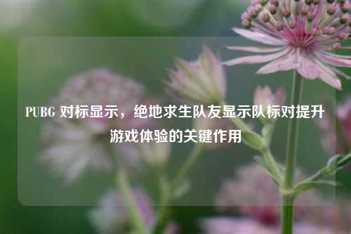 PUBG 对标显示，绝地求生队友显示队标对提升游戏体验的关键作用