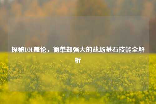 探秘LOL盖伦，简单却强大的战场基石技能全解析
