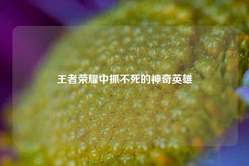 王者荣耀中抓不死的神奇英雄