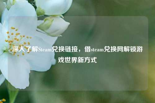 深入了解Steam兑换链接,借steam兑换网解锁游戏世界新方式