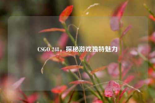 CSGO 248，探秘游戏独特魅力