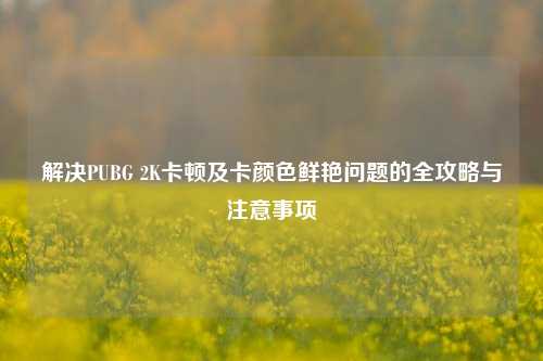 解决PUBG 2K卡顿及卡颜色鲜艳问题的全攻略与注意事项