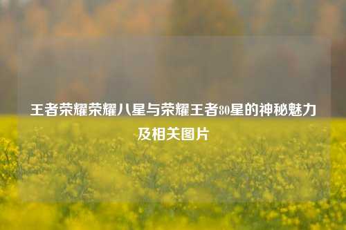 王者荣耀荣耀八星与荣耀王者80星的神秘魅力及相关图片